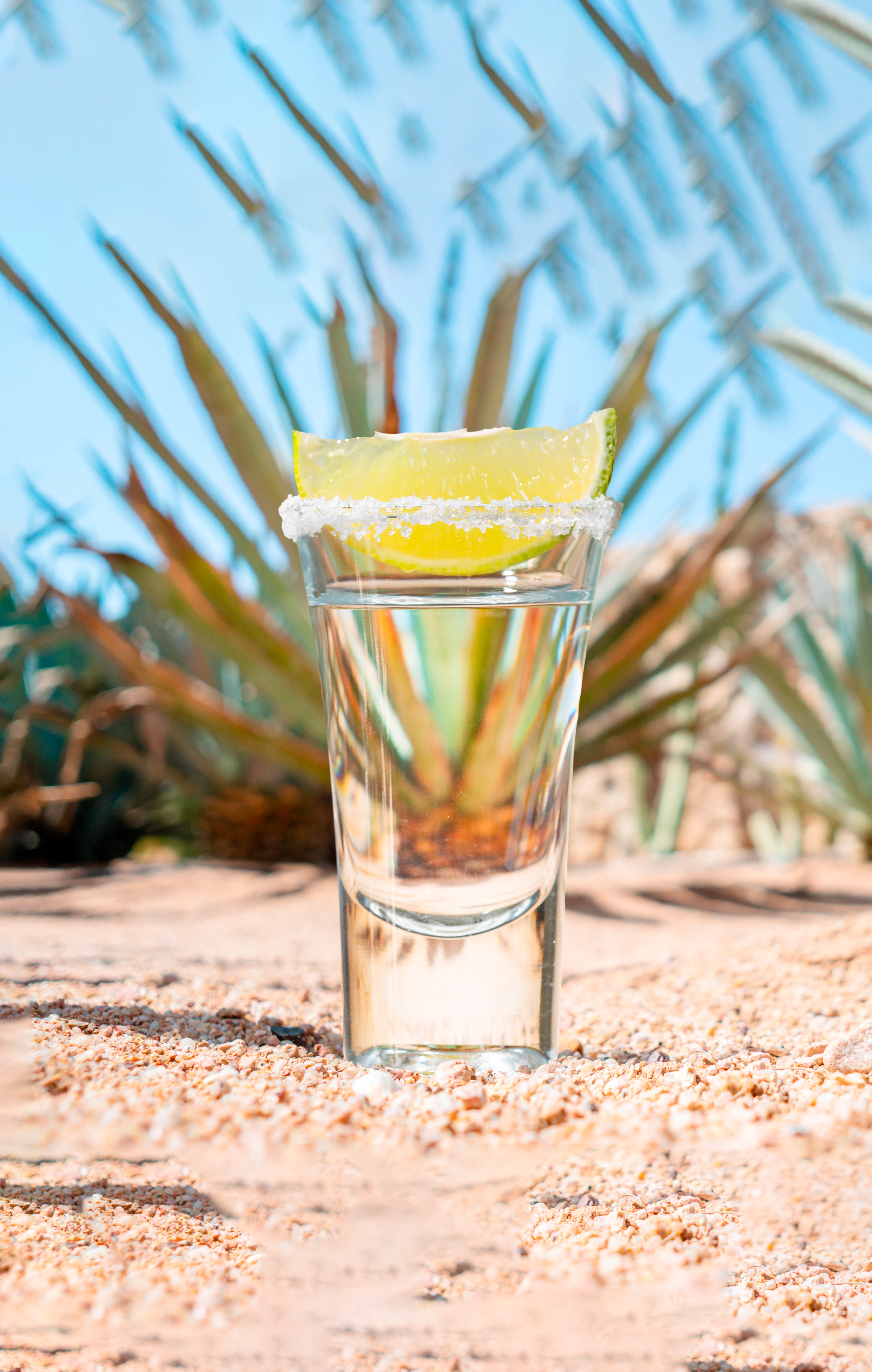 tequila